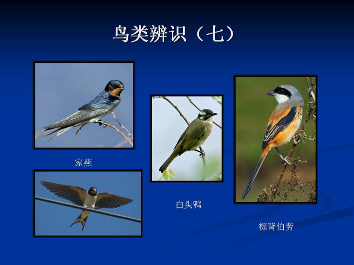 上传的图片