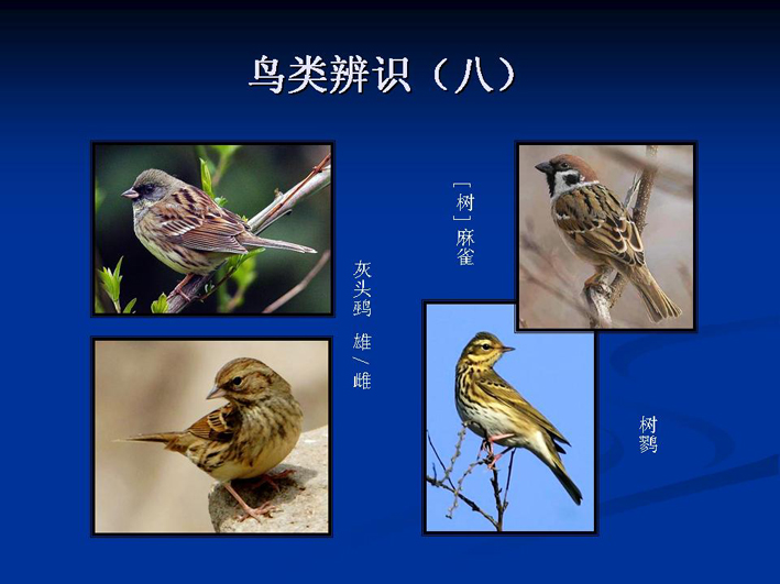 上传的图片
