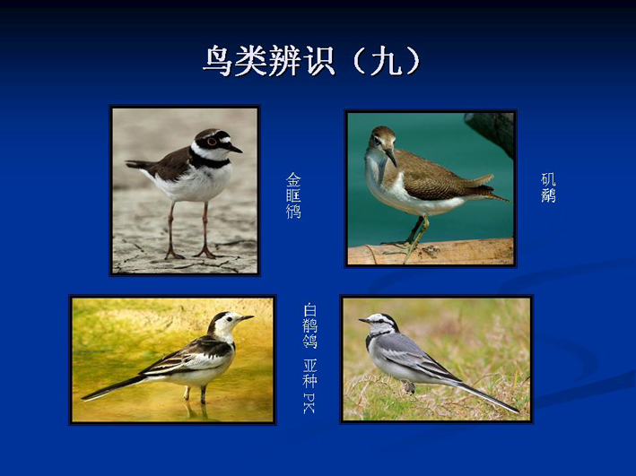 上传的图片