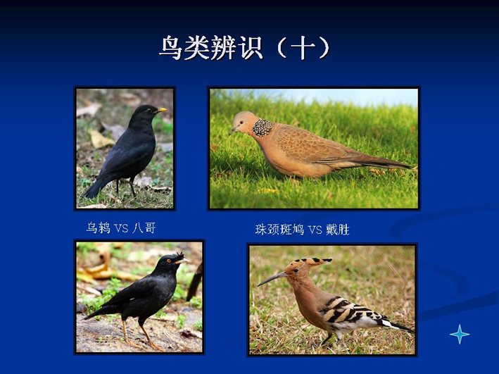 上传的图片