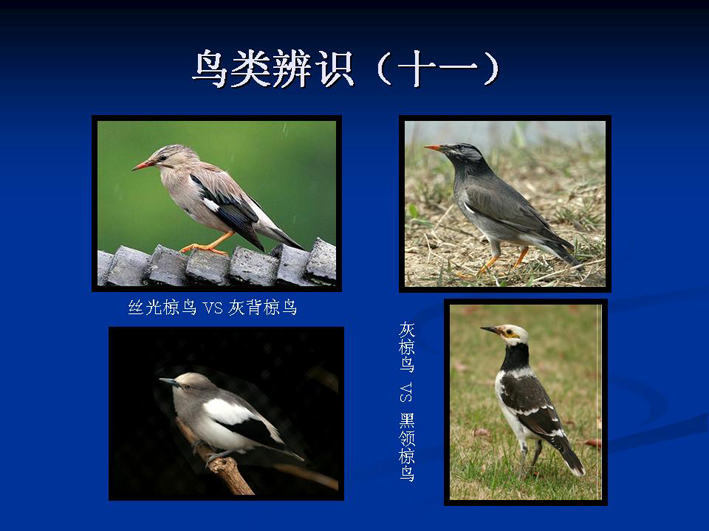上传的图片