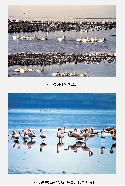 上传的图片