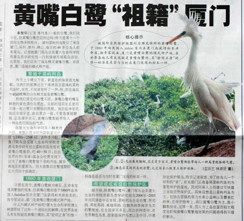 上传的图片