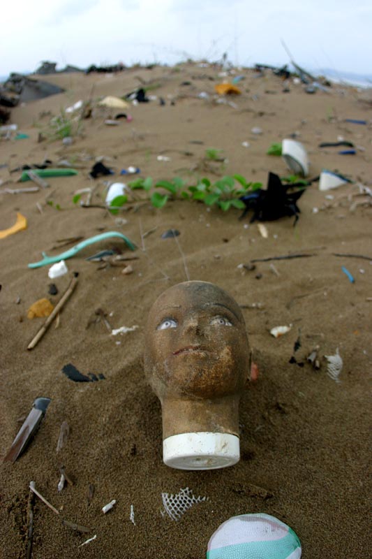 上传的图片