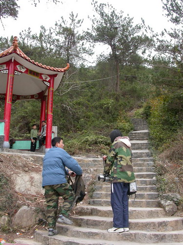 上传的图片