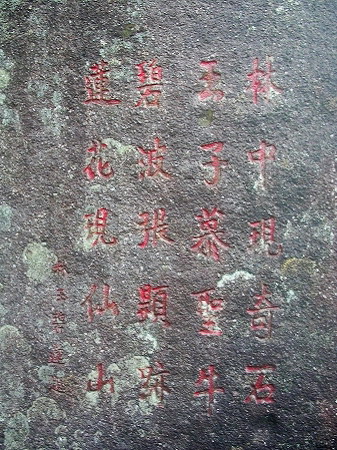 上传的图片