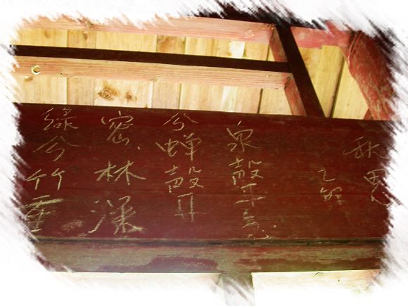 上传的图片