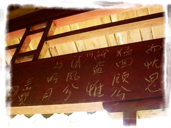 上传的图片