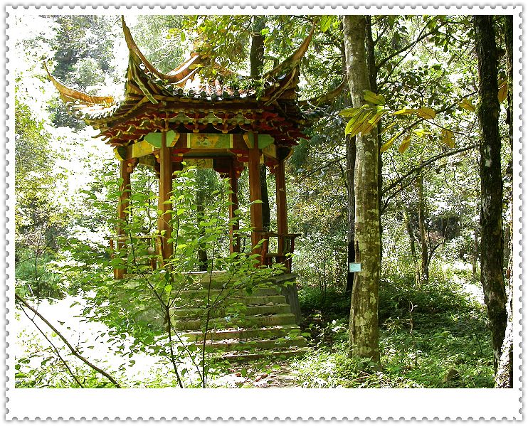 上传的图片