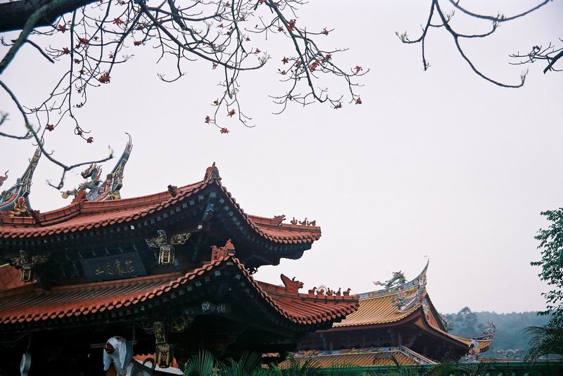 上传的图片