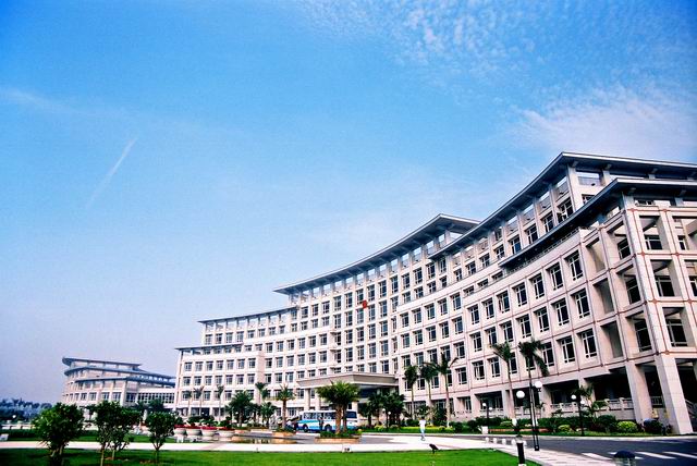 上传的图片