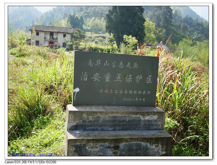 上传的图片