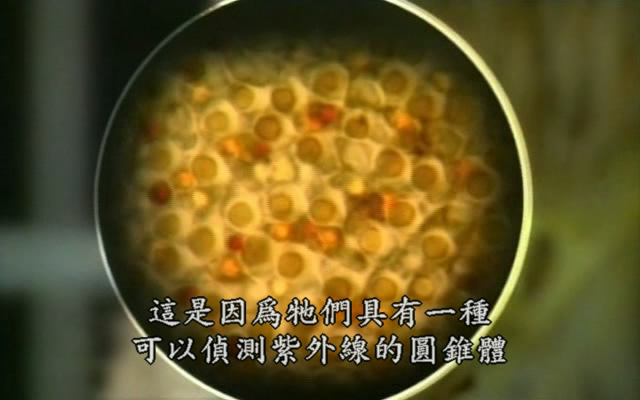 上传的图片