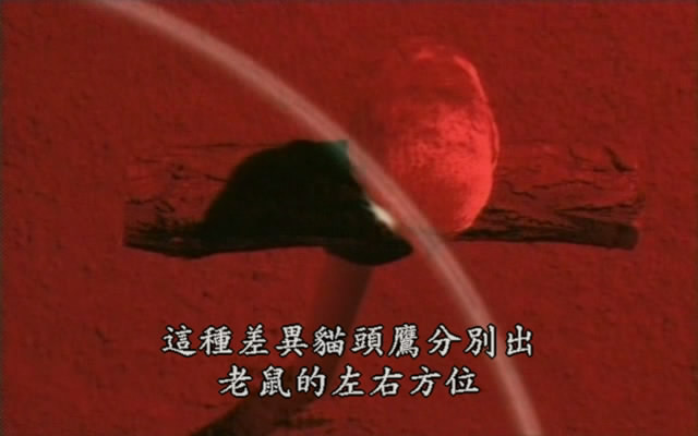 上传的图片