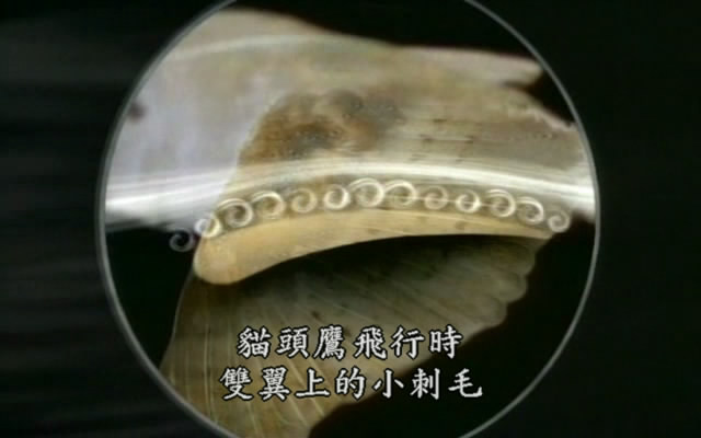 上传的图片