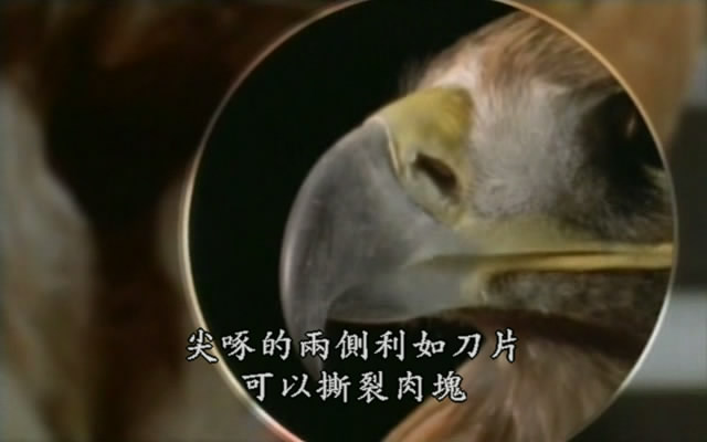 上传的图片