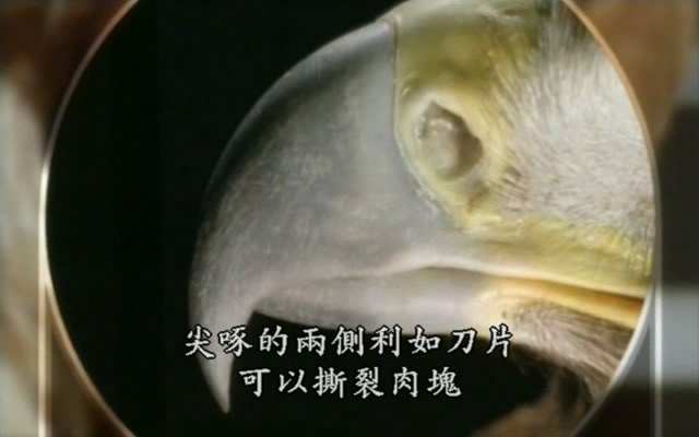 上传的图片