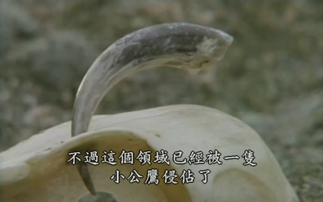 上传的图片