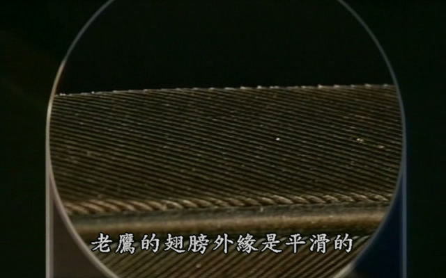 上传的图片
