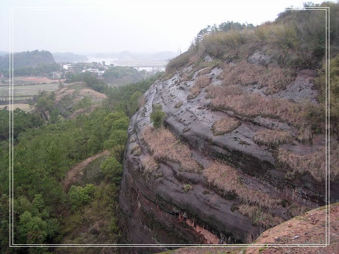 上传的图片