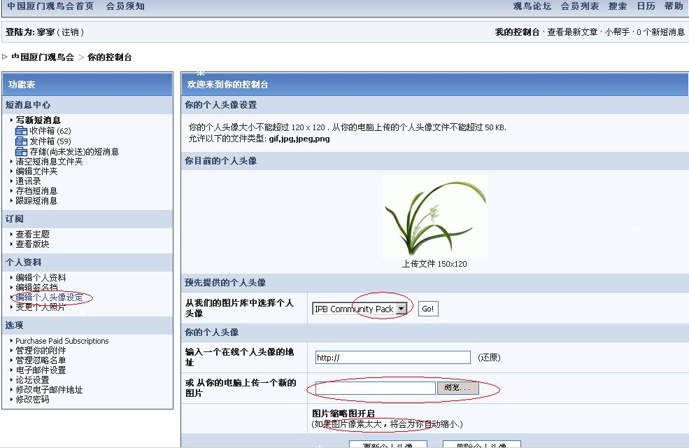 上传的图片