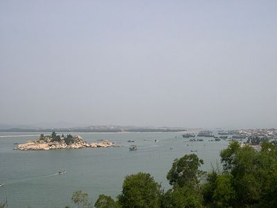 上传的图片