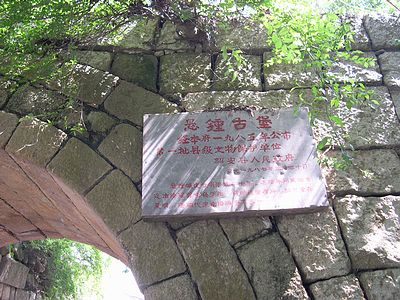 上传的图片