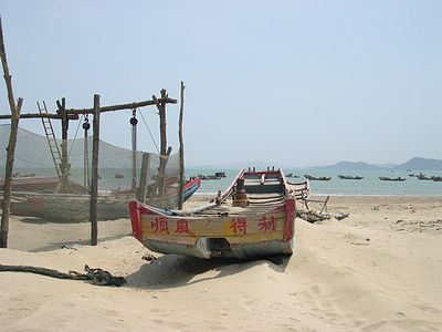 上传的图片