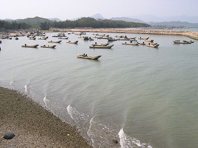 上传的图片