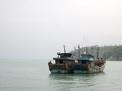 上传的图片