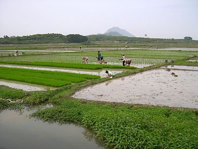 上传的图片