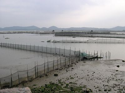 上传的图片