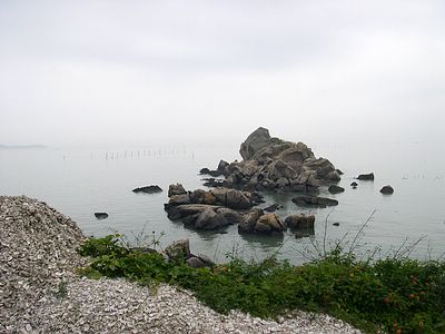 上传的图片