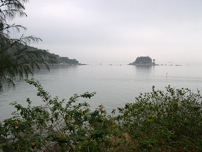 上传的图片