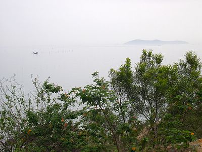 上传的图片