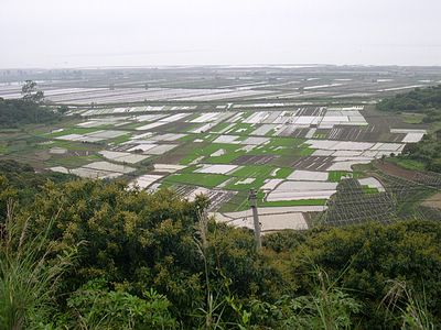 上传的图片
