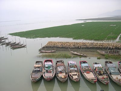 上传的图片