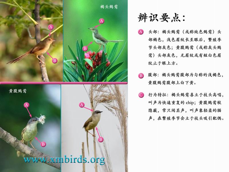 上传的图片