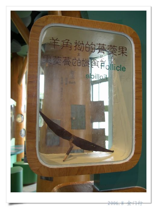 上传的图片