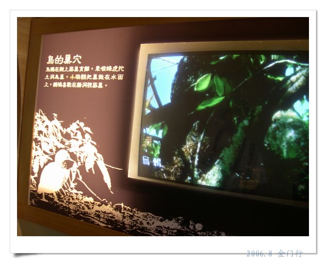 上传的图片