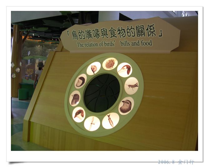上传的图片