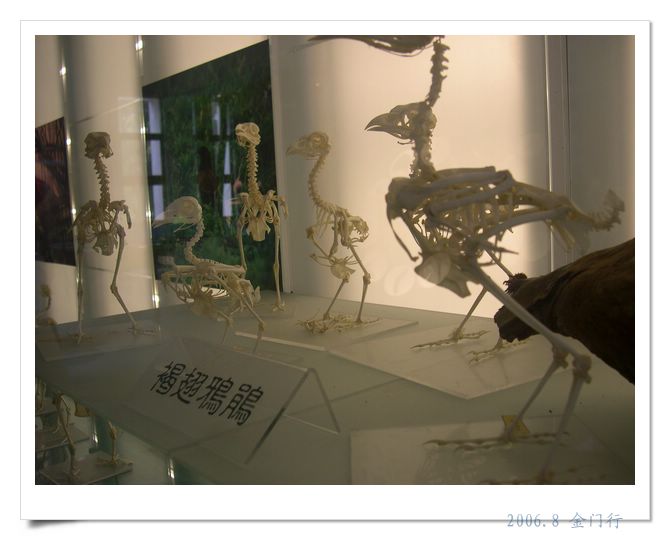 上传的图片
