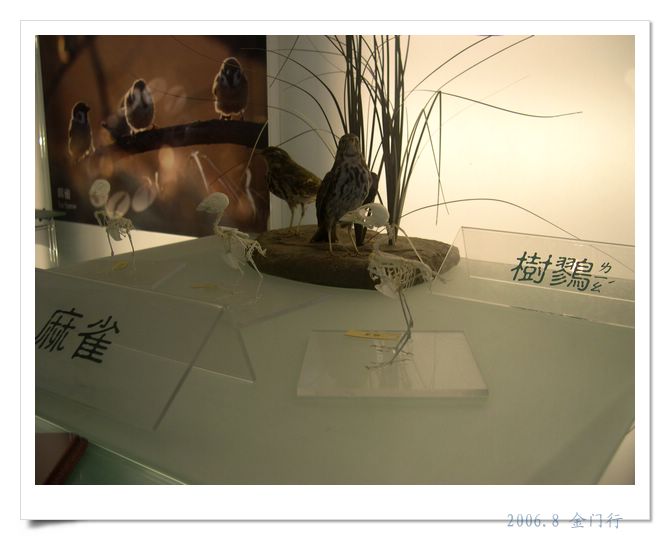 上传的图片