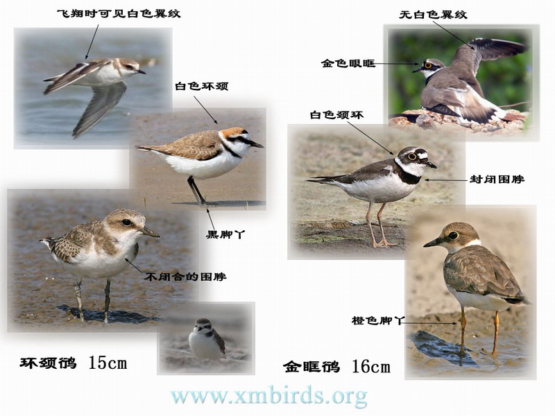 上传的图片