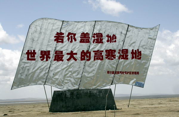 上传的图片
