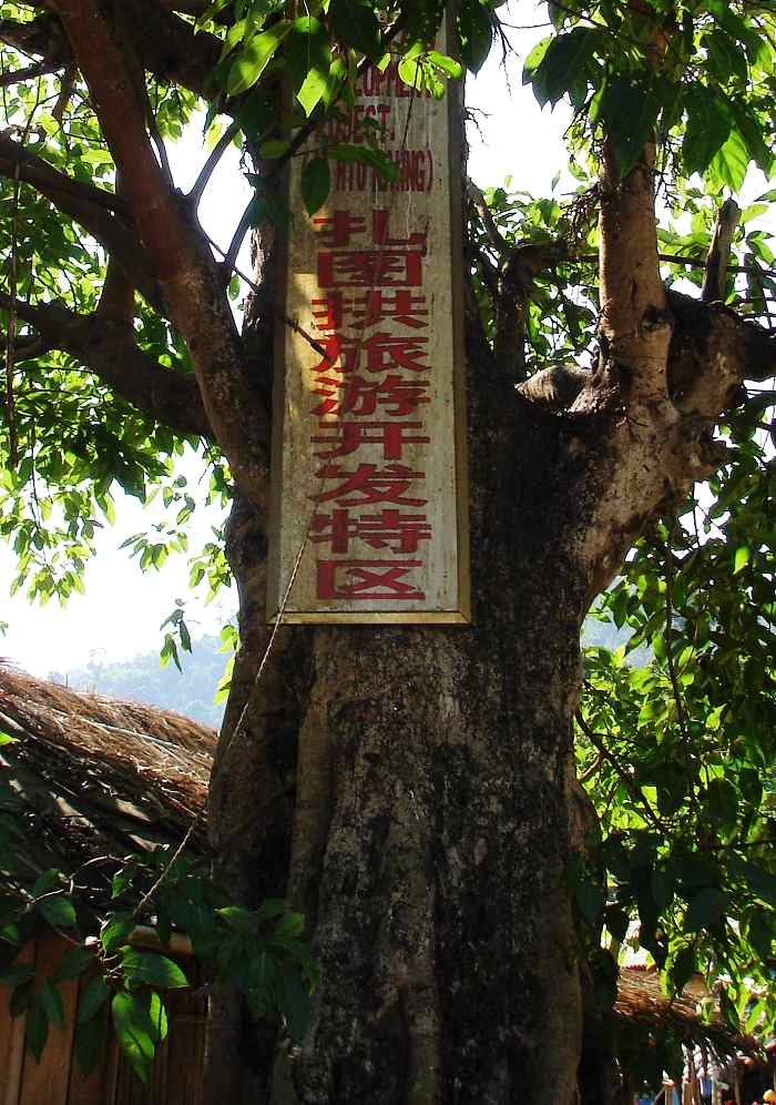 上传的图片