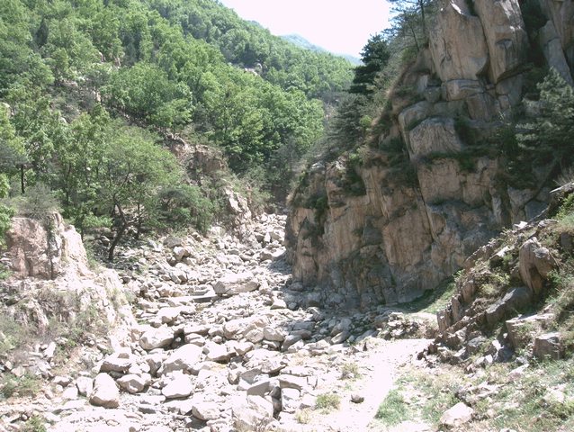 上传的图片