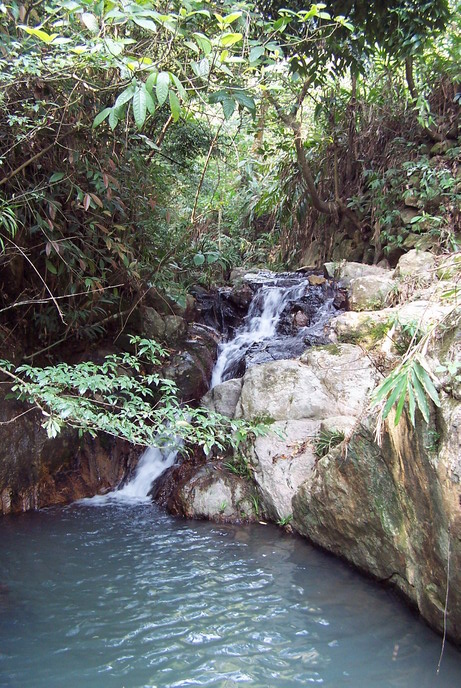 上传的图片