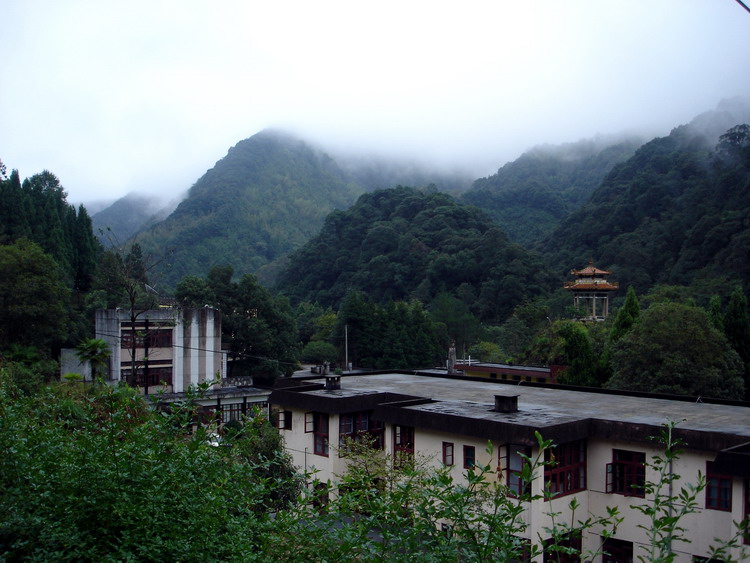 上传的图片