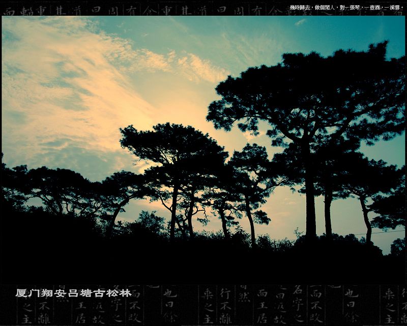 上传的图片